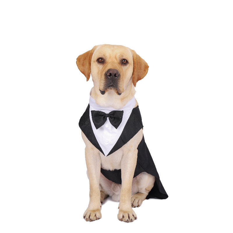 كلب الملابس موضة عرض الحفلات ب - مراجعة Suitsupply Wedding Tuxedo وسعره